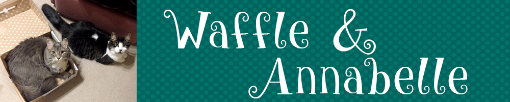 Waffle and Annabelle Header